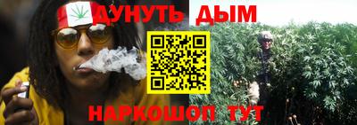 сатива Обь