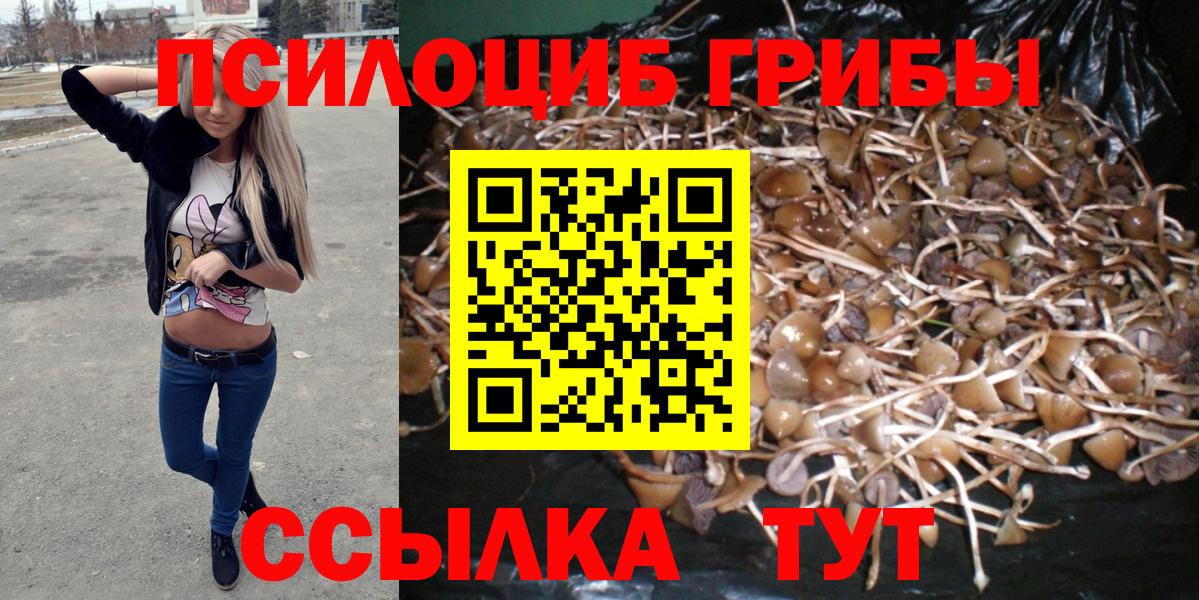 Галлюциногенные грибы Psilocybine cubensis  Вход с VPN  Рыбинск 