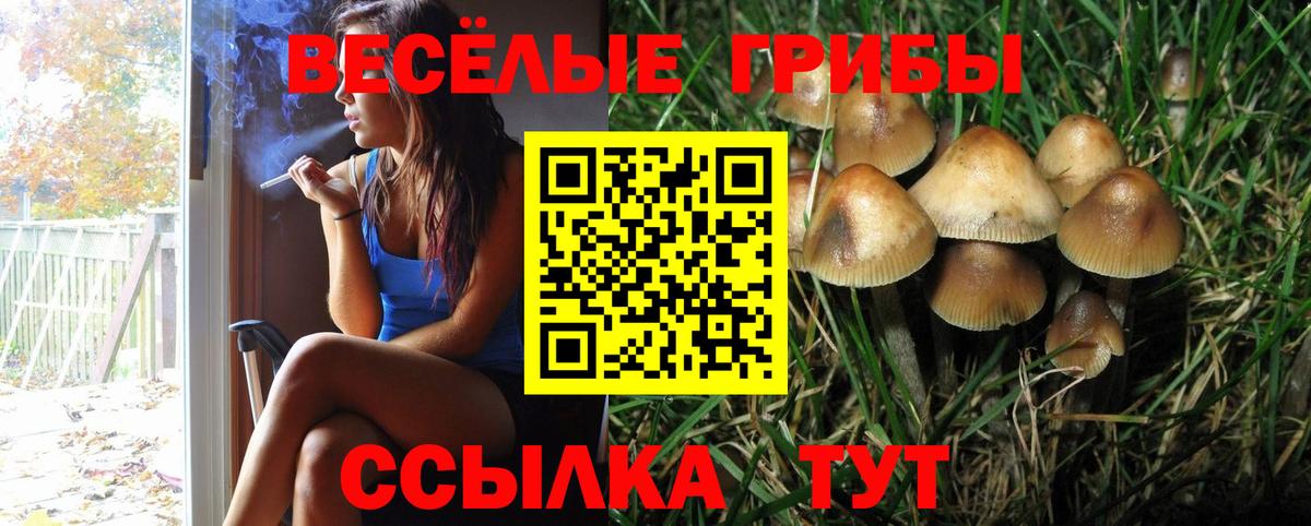 Псилоцибиновые грибы мицелий Рыбинск